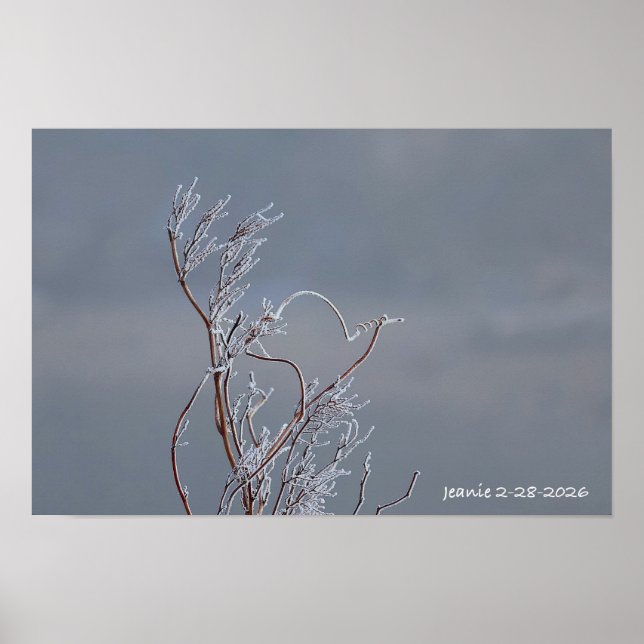 Poster Arbusto congelado (Frente)