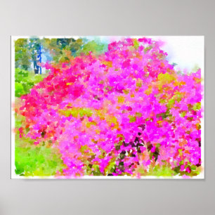 Poster Arbusto do Bougainvillea, pintura da aguarela