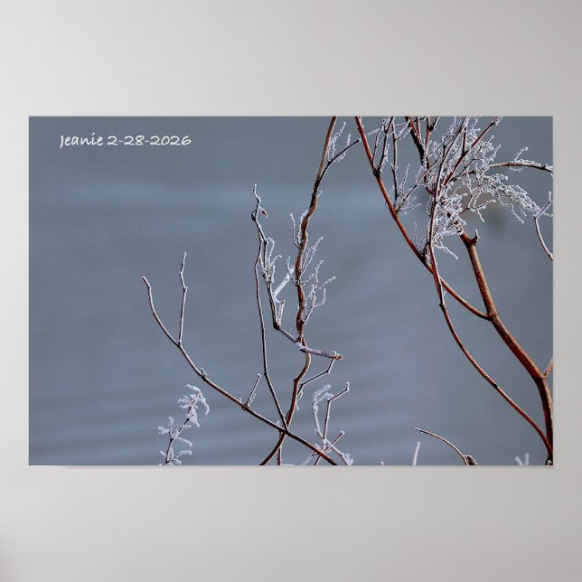 Poster Arbusto Geado (Frente)