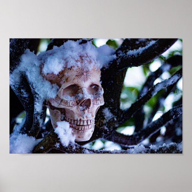 Poster Arcana Winter I (Frente)