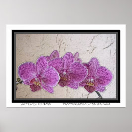 Póster Arco ao Paraíso Roxo por TDGalery