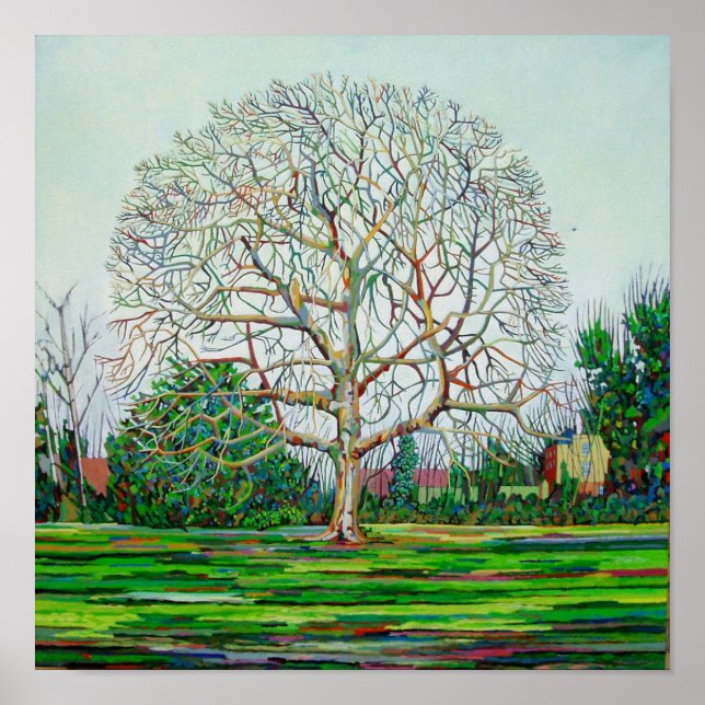 Póster Arco Árvore inverno (Frente)