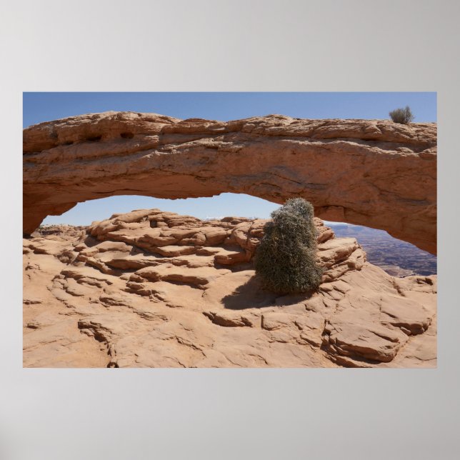 Poster Arco da Mesa e Tumbleweed em Canyonlands (Frente)