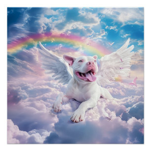 Póster Arco-íris, Cachorro Branco no Céu