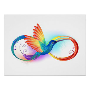 Póster Arco-íris Hummingbird com símbolo Infinito