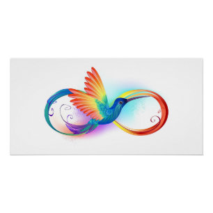 Póster Arco-íris Hummingbird com símbolo Infinito