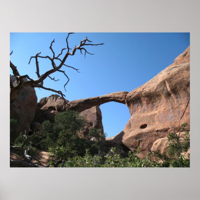Poster Arco O (Frente)