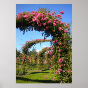 Poster Arcos do Jardim rosa de Elizabeth Park