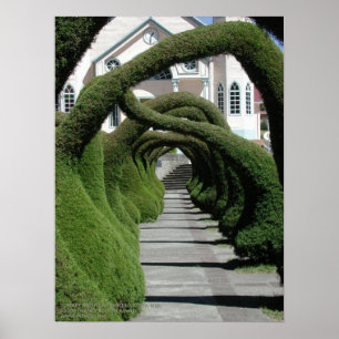 Poster Arcos do Topiary em Zarcero, Costa Rica