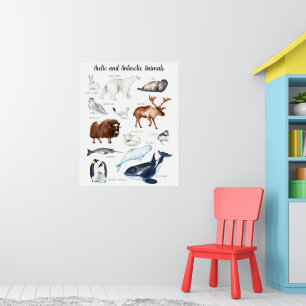 Poster Arctic Animals Education Learning Classroom