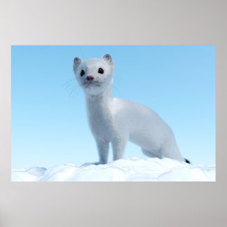 Poster Arctic Weasel Charm