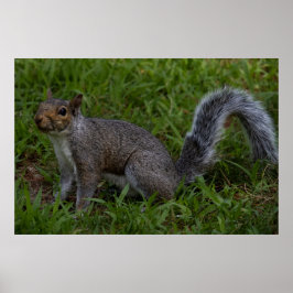 Poster Are You Ready