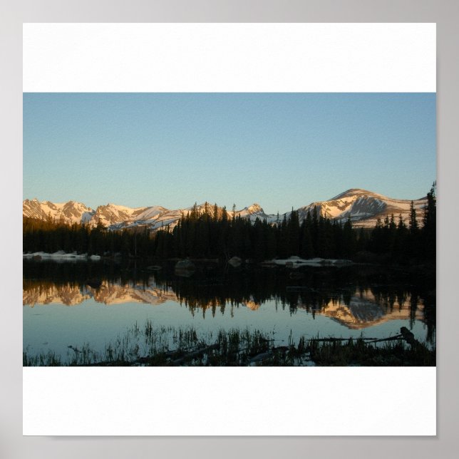 Póster Área de Recriação de Brainard (Frente)