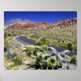 Póster Área Nacional de Conservação do Red Rock Canyon
