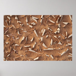 Poster Areia