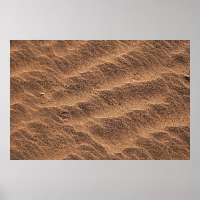 Poster Areia castanha com água durante o dia (Frente)