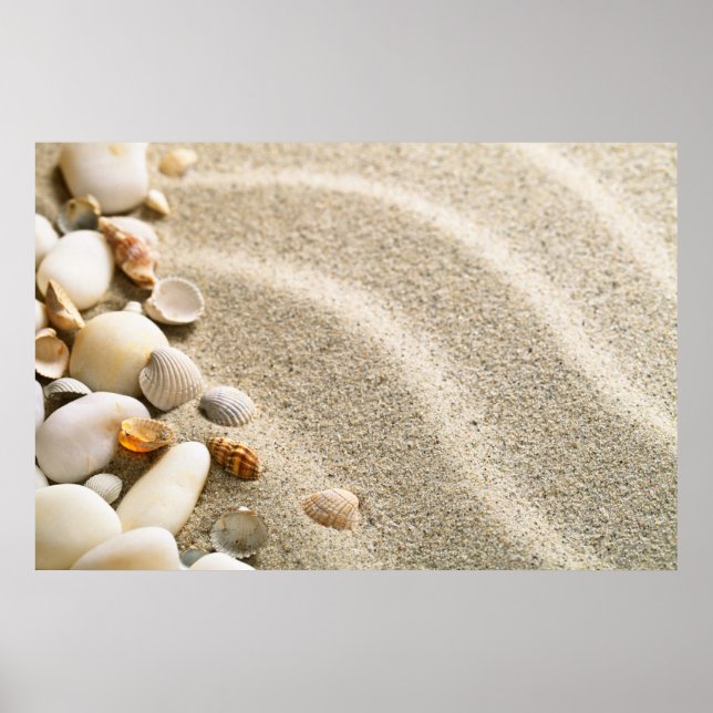 Póster Areia Com Conchas E Pedras. Composição de praia (Frente)