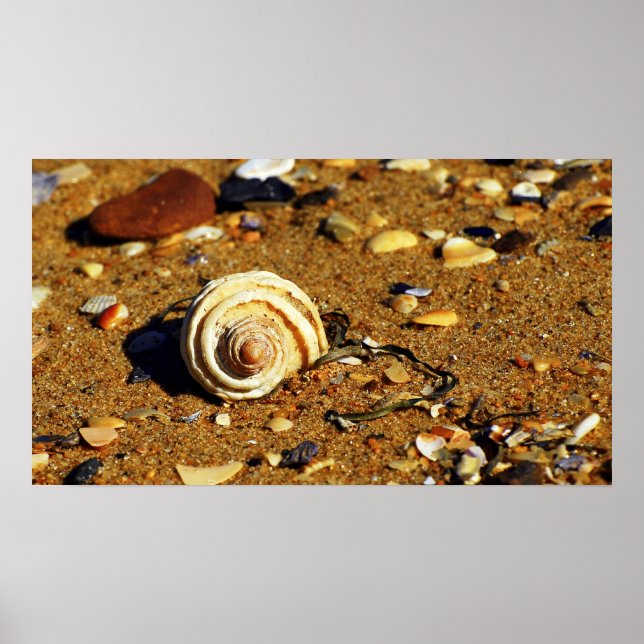 Póster areia patonga (Frente)