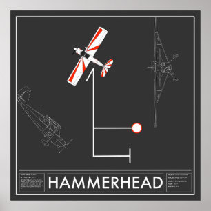 Poster Aresti Aerobatic Hammerhead Super Decathlon