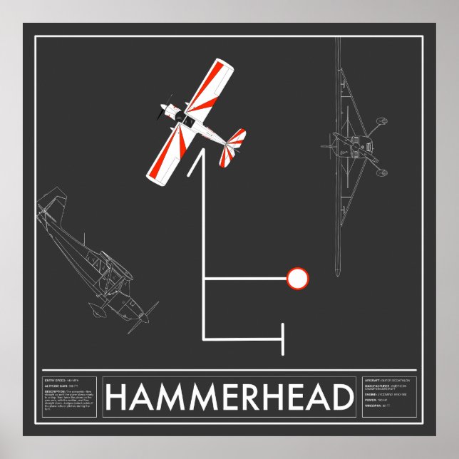 Poster Aresti Aerobatic Hammerhead Super Decathlon (Frente)