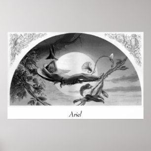 Poster Ariel