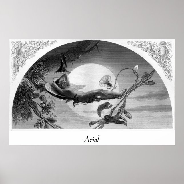 Poster Ariel (Frente)