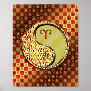 Poster Aries e Dragão Metálico