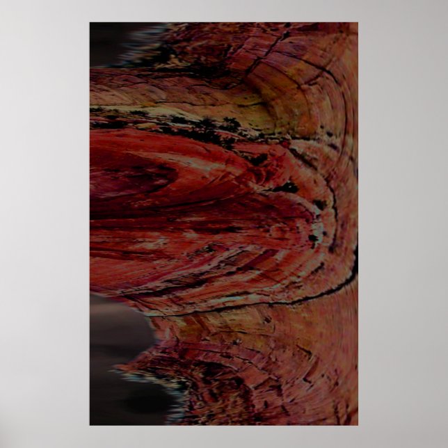 Poster Arizona (Frente)