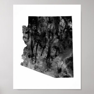 Póster Arizona