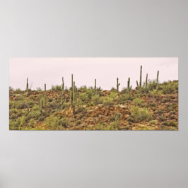 Poster Arizona cacto paisagem