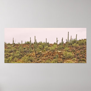 Poster Arizona cacto paisagem