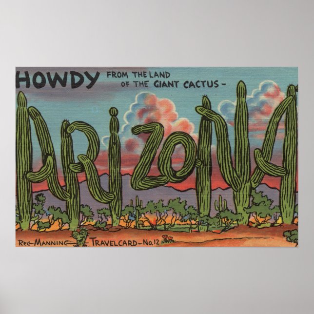 Poster Arizona - Como sair da Arizona na fonte do Cactus (Frente)