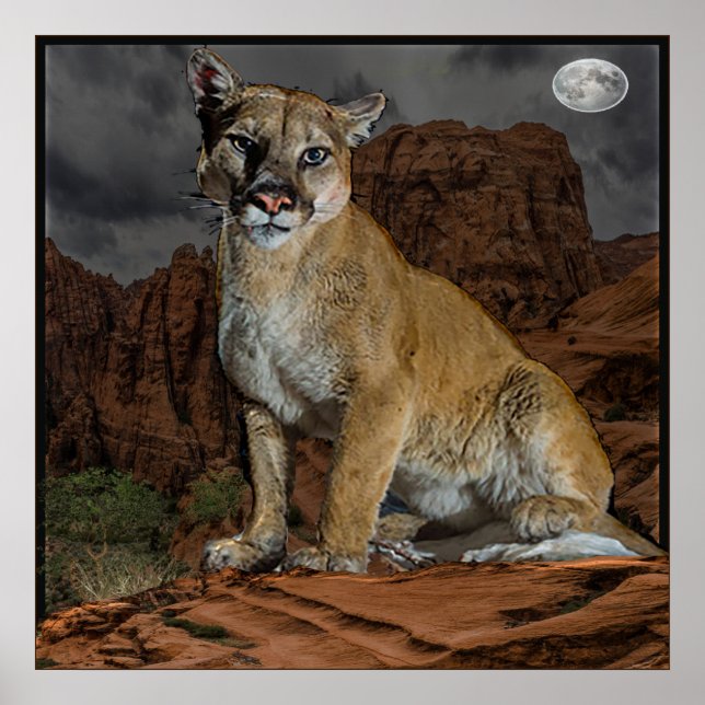 Poster Arizona de Cougar (Frente)
