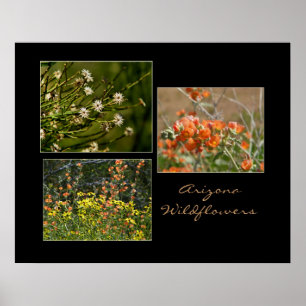 Poster Arizona de flores silvestres