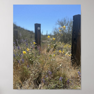 Poster Arizona Desert Amarelo Flores Roxas Escondidas Bel
