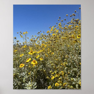 Poster Arizona Deserto Flores Amarelas Paisagem