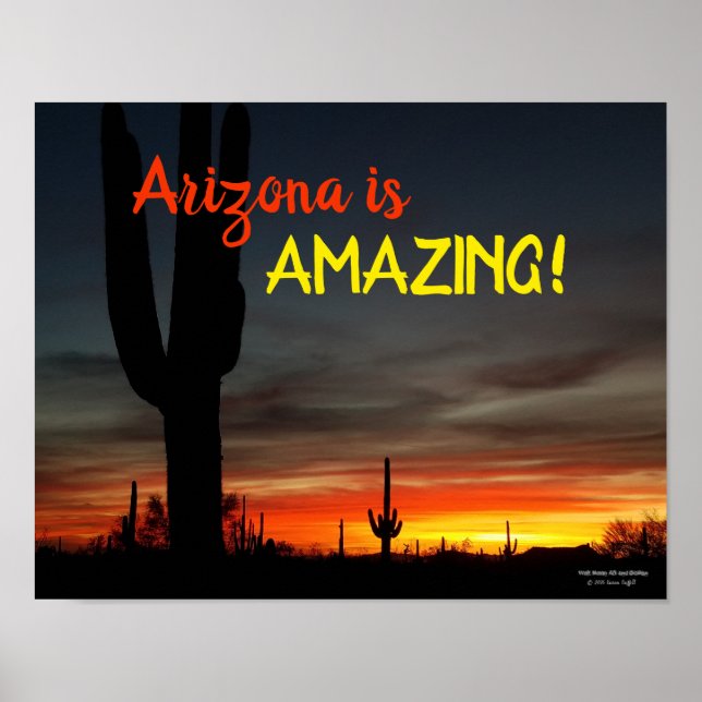 Poster "Arizona é incrível!" Sonoran Desert Cactus Sunset (Frente)