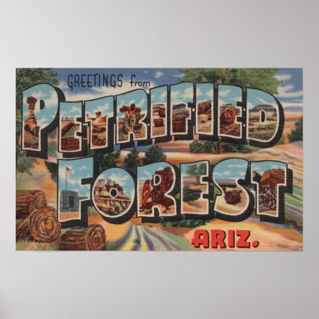 Poster Arizona - Floresta Petrificada - Letra grande (Frente)