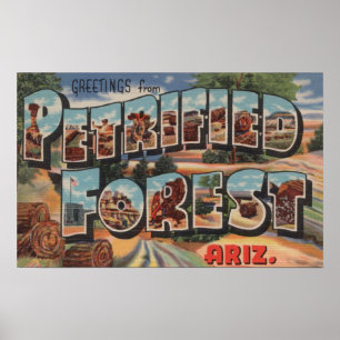 Poster Arizona - floresta Petrified - grande letra