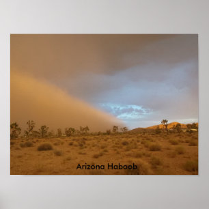 Póster Arizona Haboob