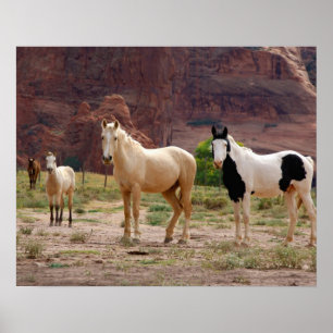 Poster Arizona, reserva indígena do Navajo, Chinle,
