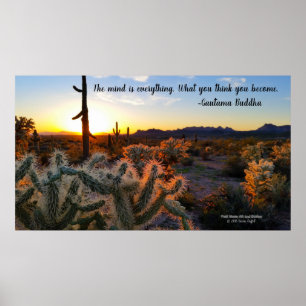 Póster Arizona solar do deserto de Sonoran com cactus sag