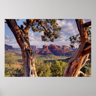 Poster Arizona vermelha da rocha   Sedona