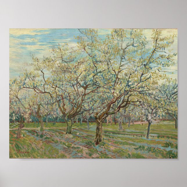 Póster Arles White Orchard, abril de 1888 Vincent van Go (Frente)