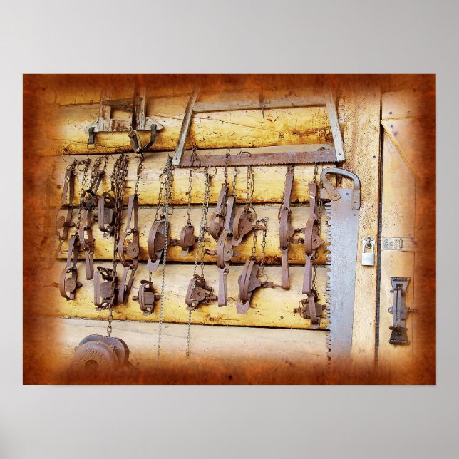 Póster Armadilhas de animais no Alasca (Frente)