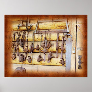 Póster Armadilhas do animal em Alaska