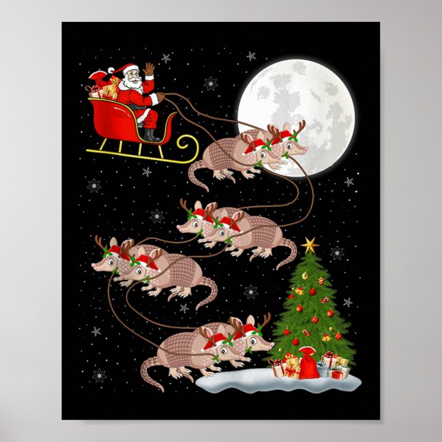 Poster Armadillo Santa Sleigh Flying Funny Magical Christ (Frente)