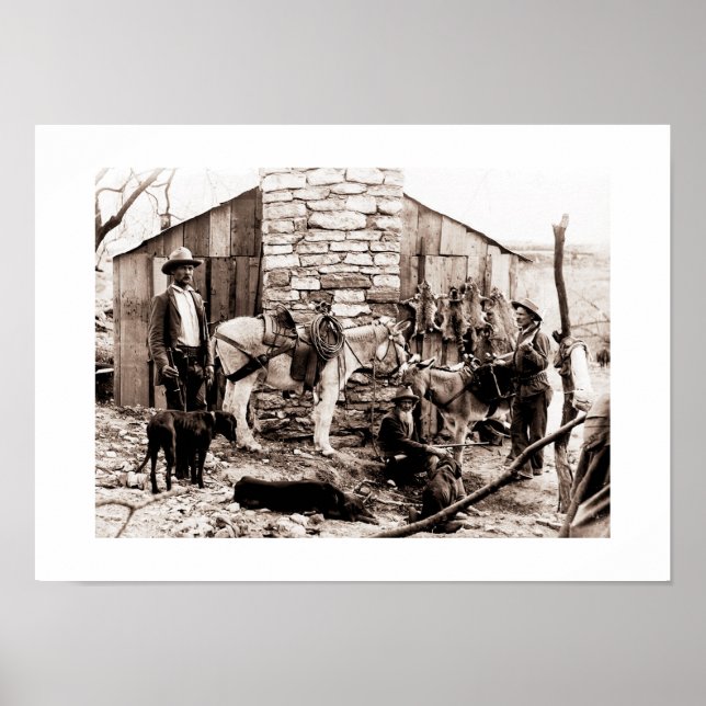 Póster Armadores e sua cabina, EUA (Frente)