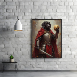 Poster Armadura, Cloak, Perna Turca, Bola Ouro