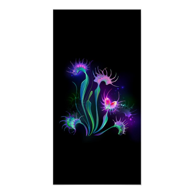 Póster Armandoia de Venus Flytrap (Frente)